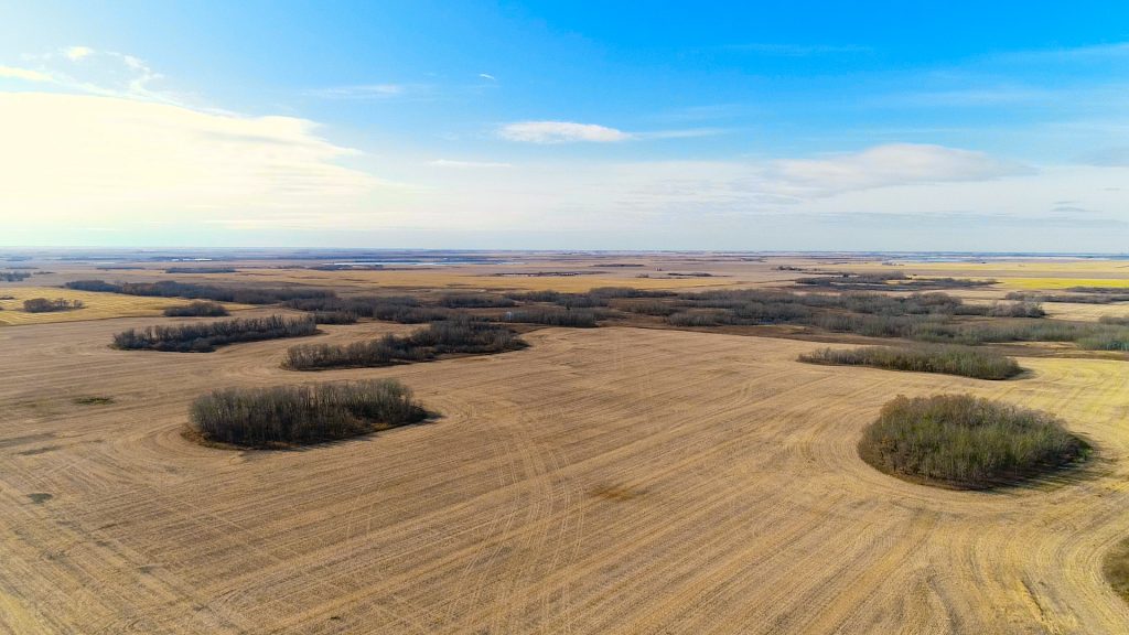 grain pasture land saskatoon
