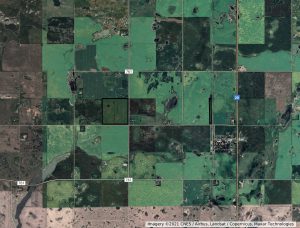 Grain land in East Central Saskatchewan