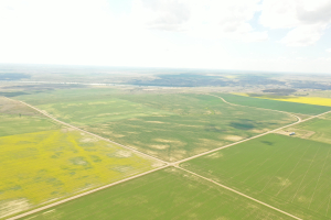 High Quality Grain Land in the RM of Snipe Lake
