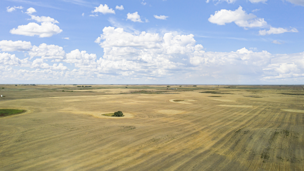 Grain Land in the RM of Deer Forks #232
