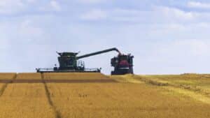 Should You Sell Your Saskatchewan Farmland Privately or With an Agent?