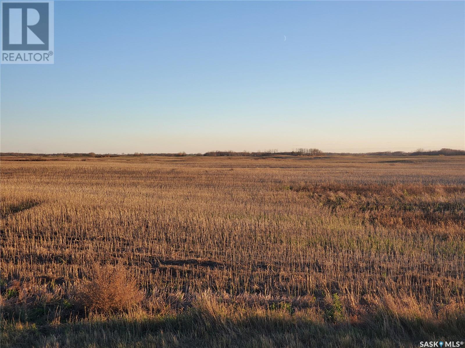 Grain Land - Rm Of Wallace #243, Wallace Rm No. 243, Saskatchewan  S0A 3R0 - Photo 7 - SK949846