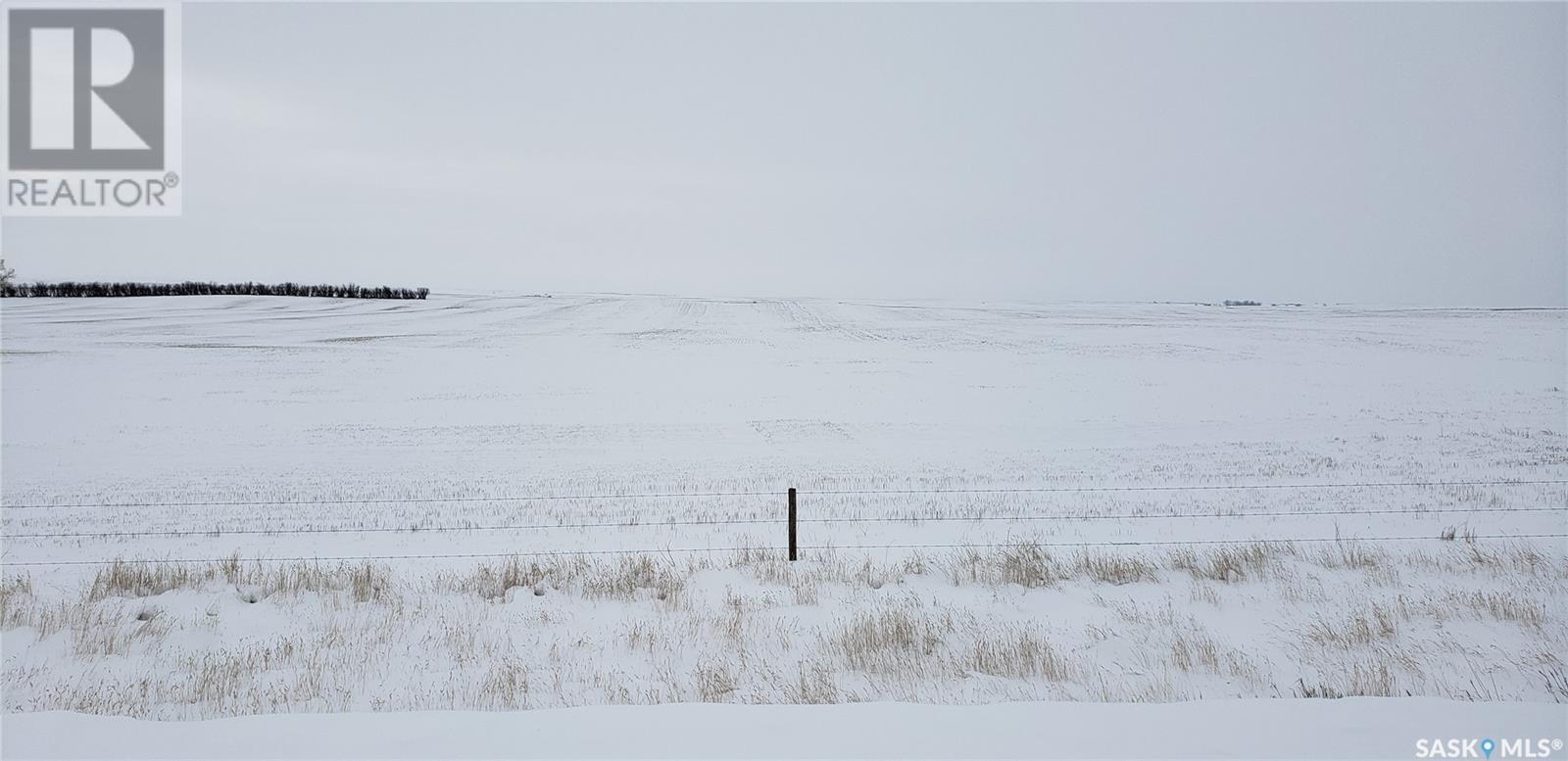 Meyronne South Land 2, Pinto Creek Rm No. 75, Saskatchewan  S0H 3A0 - Photo 1 - SK959025