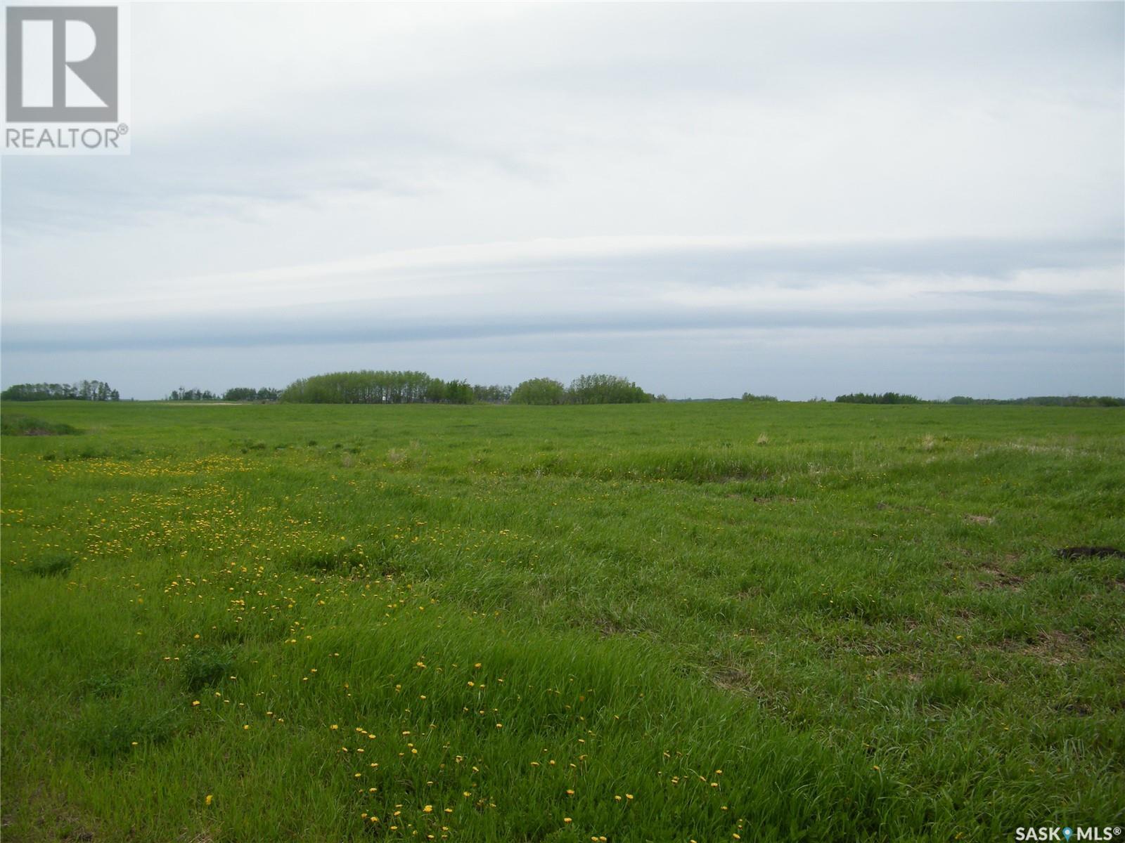 Gray Farm, Ponass Lake Rm No. 367, Saskatchewan  S0A 3E0 - Photo 14 - SK962301