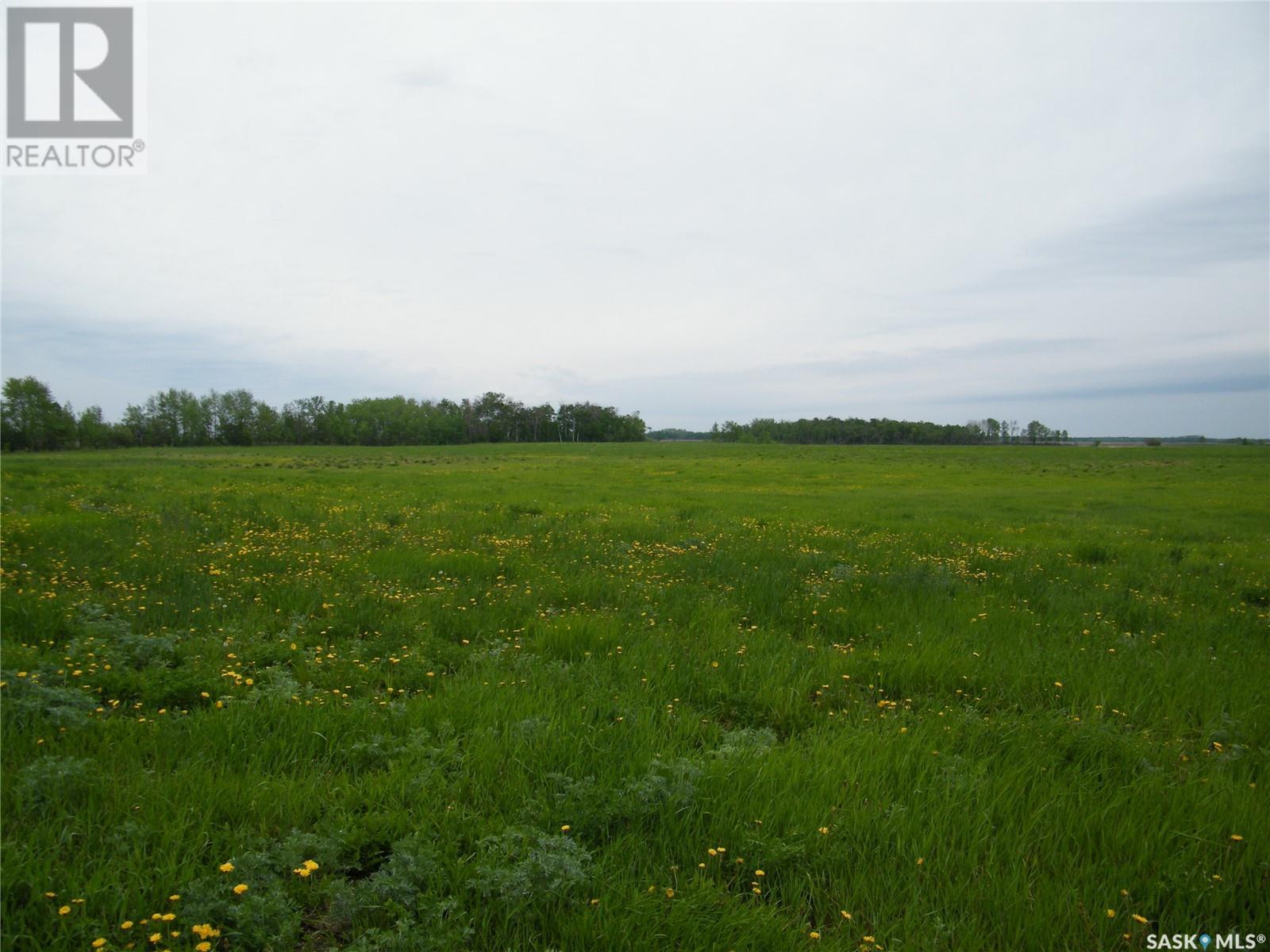 Gray Farm, Ponass Lake Rm No. 367, Saskatchewan  S0A 3E0 - Photo 15 - SK962301