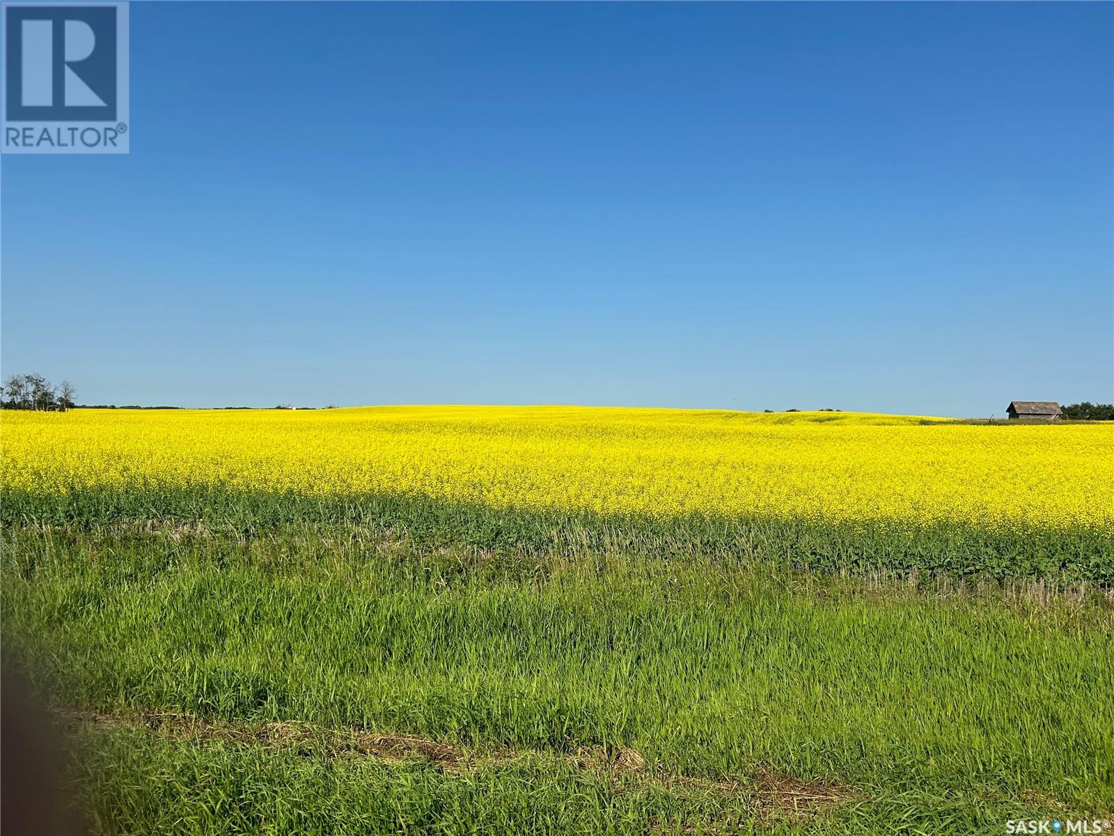 Tannas Farm - Longlaketon, Longlaketon Rm No. 219, Saskatchewan  S0G 1J0 - Photo 2 - SK970623