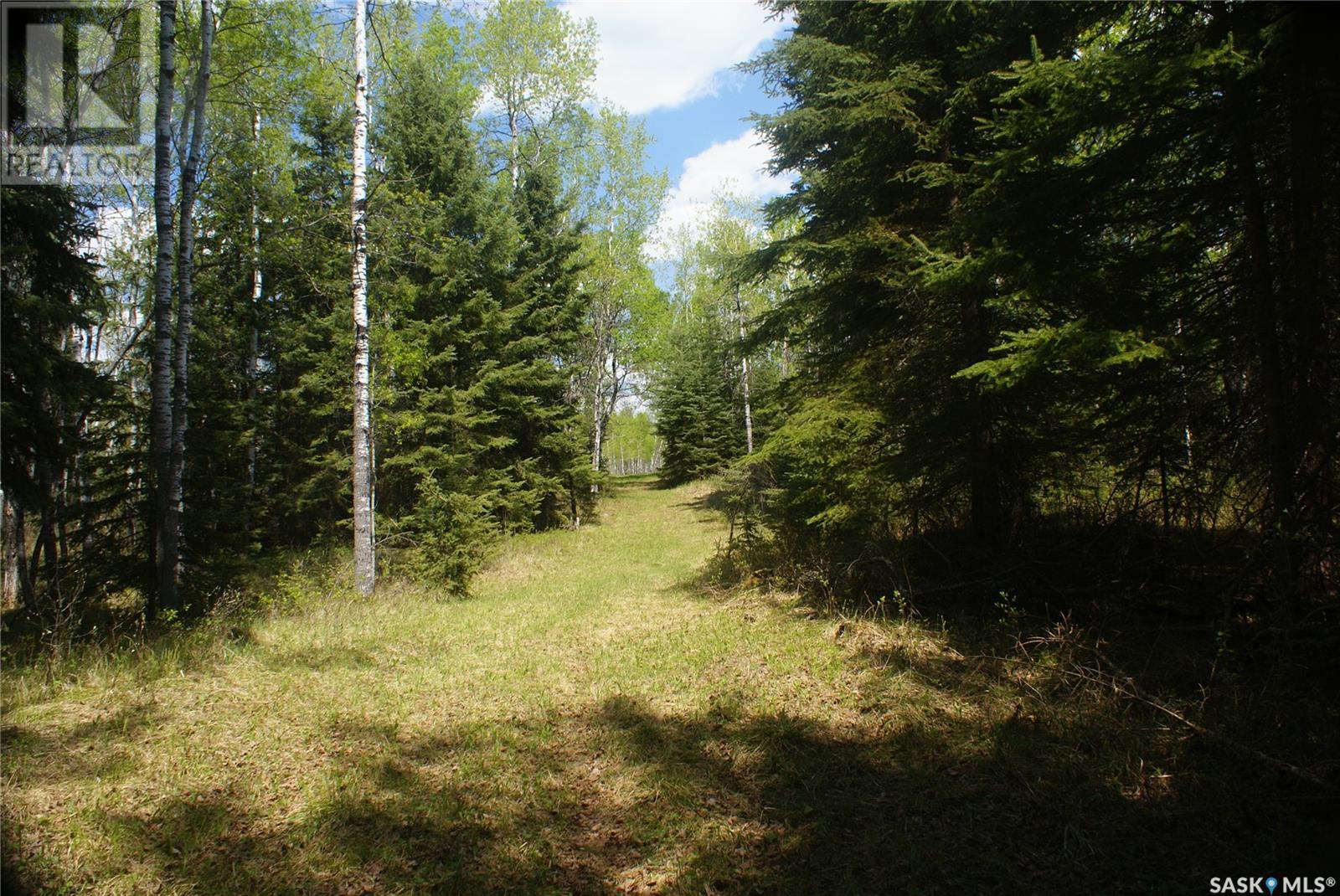 Pitt Farm, Preeceville Rm No. 334, Saskatchewan  S0A 3B0 - Photo 20 - SK971778