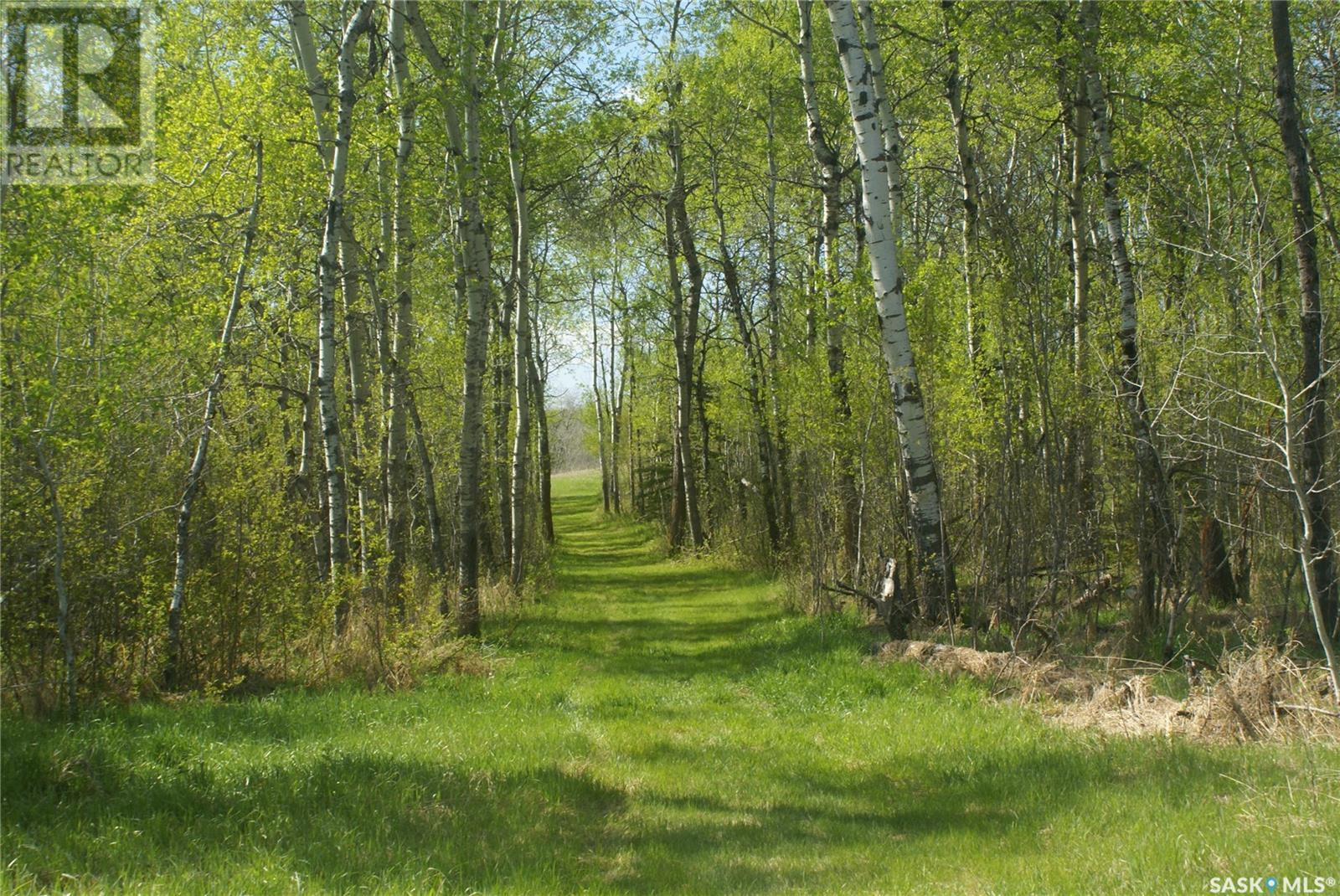 Pitt Farm, Preeceville Rm No. 334, Saskatchewan  S0A 3B0 - Photo 21 - SK971778