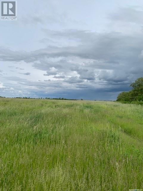 Rm Wolverine Pasture Land, Wolverine Rm No. 340, Saskatchewan  S0K 4T0 - Photo 20 - SK974072