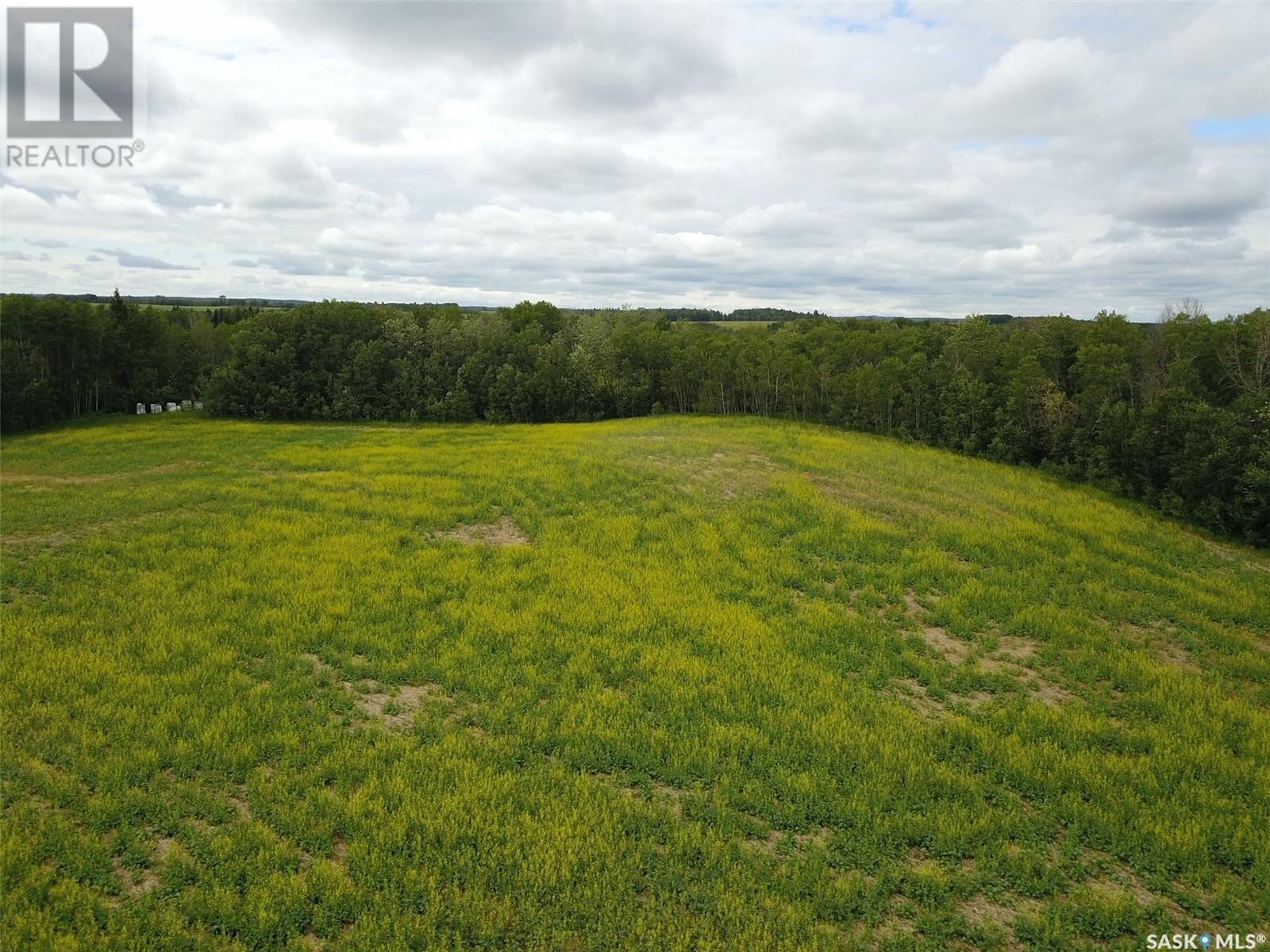 Shell Lake 20 Acres -, Spiritwood Rm No. 496, Saskatchewan  S0J 2G0 - Photo 11 - SK974508