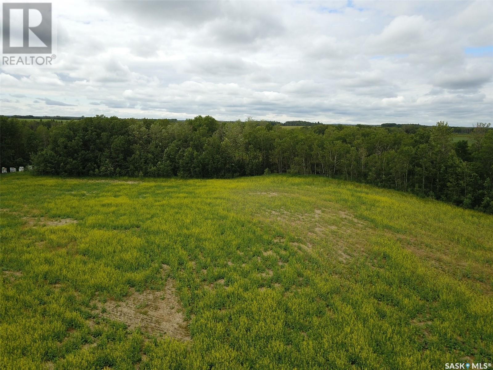 Shell Lake 20 Acres -, Spiritwood Rm No. 496, Saskatchewan  S0J 2G0 - Photo 13 - SK974508