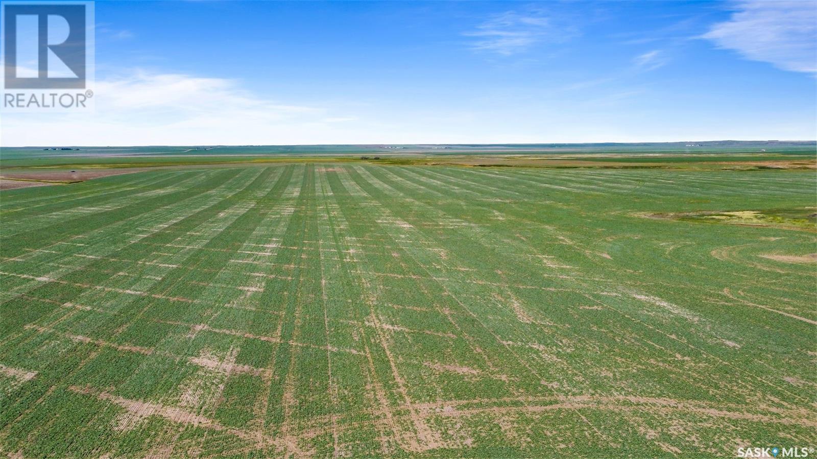 637 Acres - Plato, Lacadena Rm No. 228, Saskatchewan  S0L 2P0 - Photo 14 - SK975385