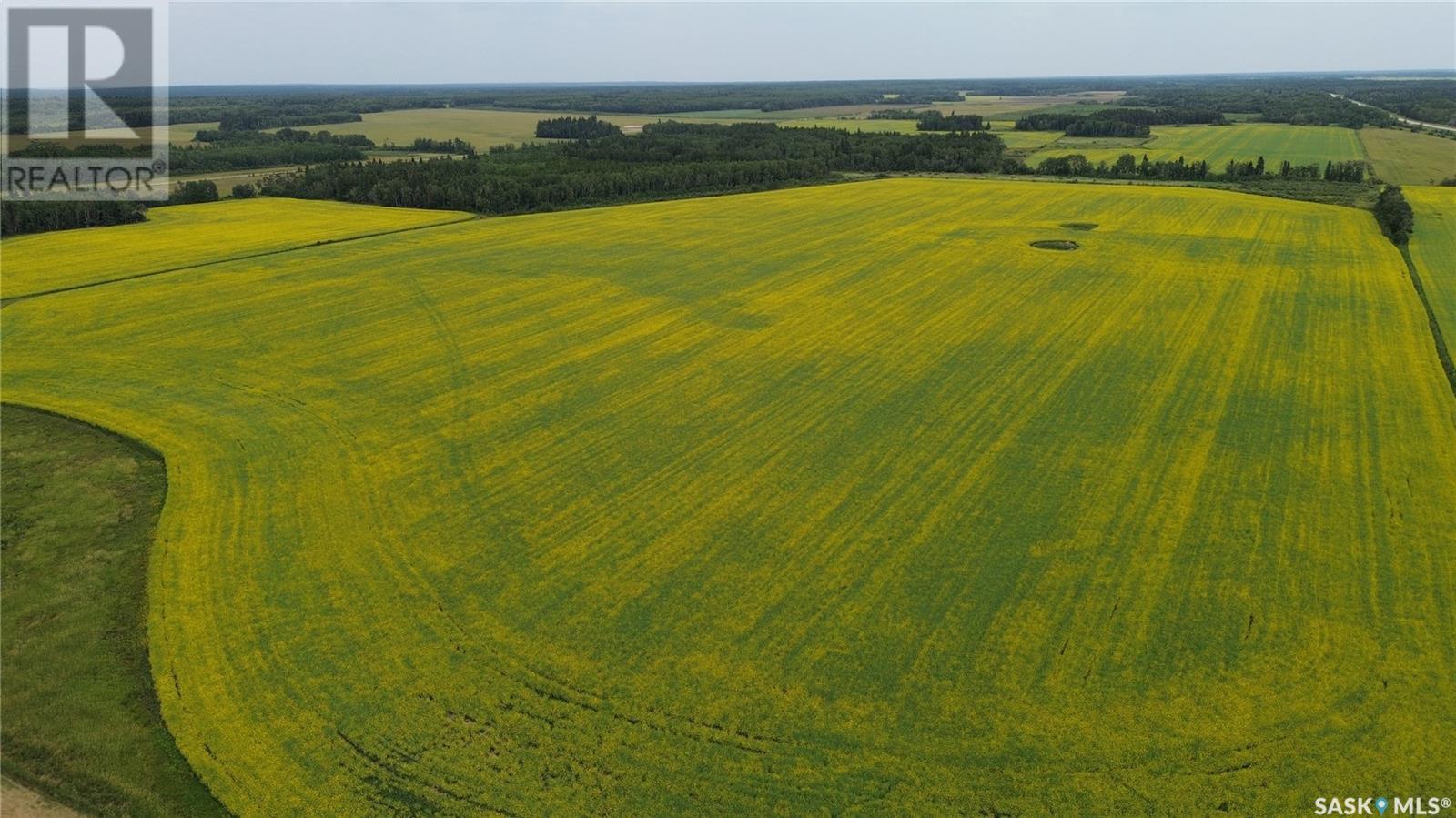 White Farm, Torch River Rm No. 488, Saskatchewan  S0J 2H0 - Photo 10 - SK975633