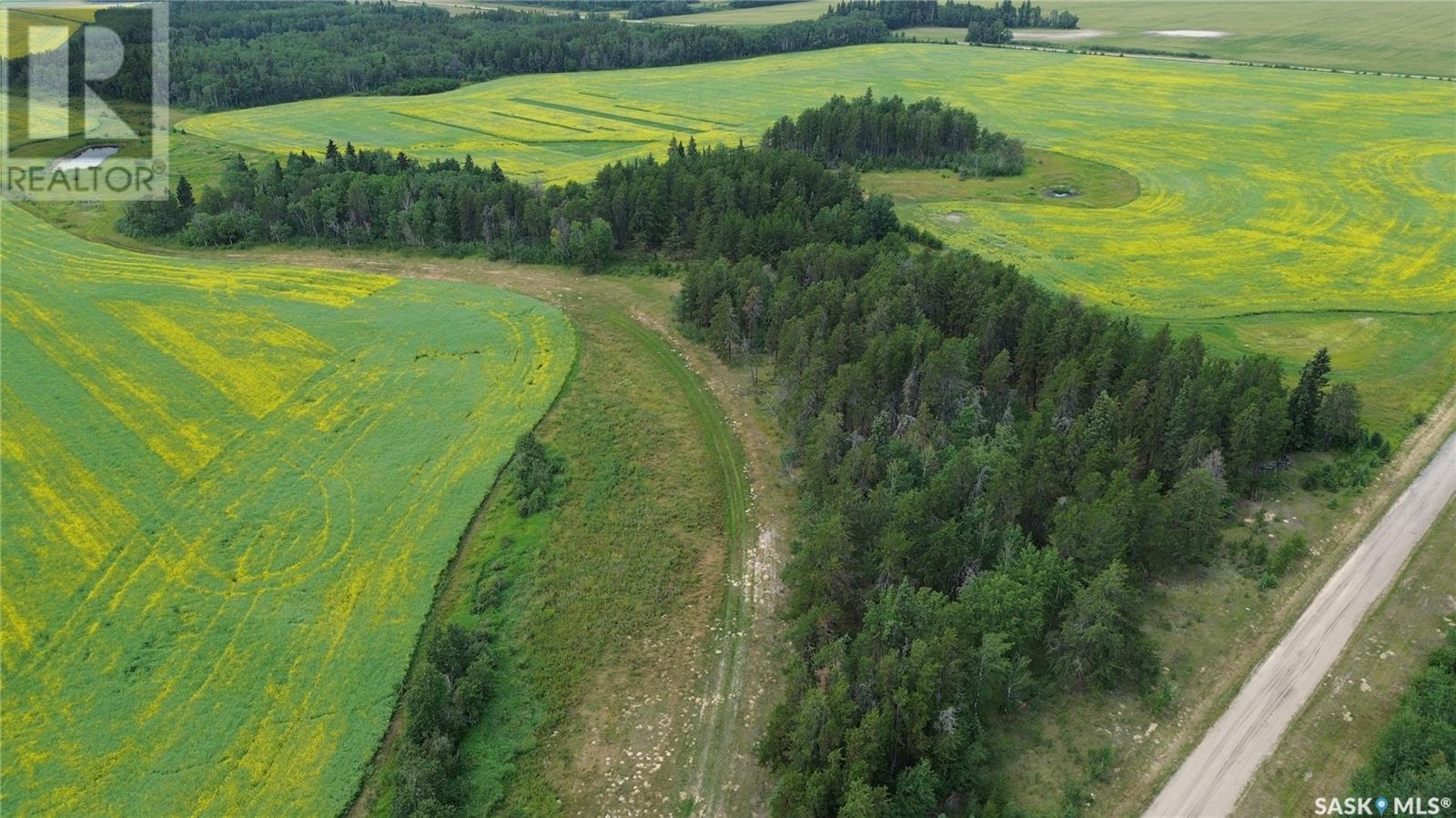 White Farm, Torch River Rm No. 488, Saskatchewan  S0J 2H0 - Photo 12 - SK975633