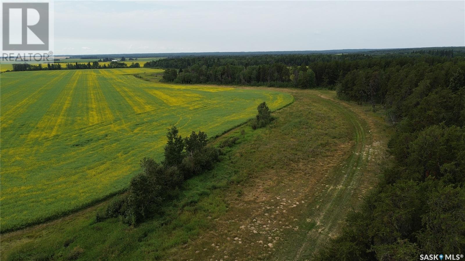 White Farm, Torch River Rm No. 488, Saskatchewan  S0J 2H0 - Photo 14 - SK975633