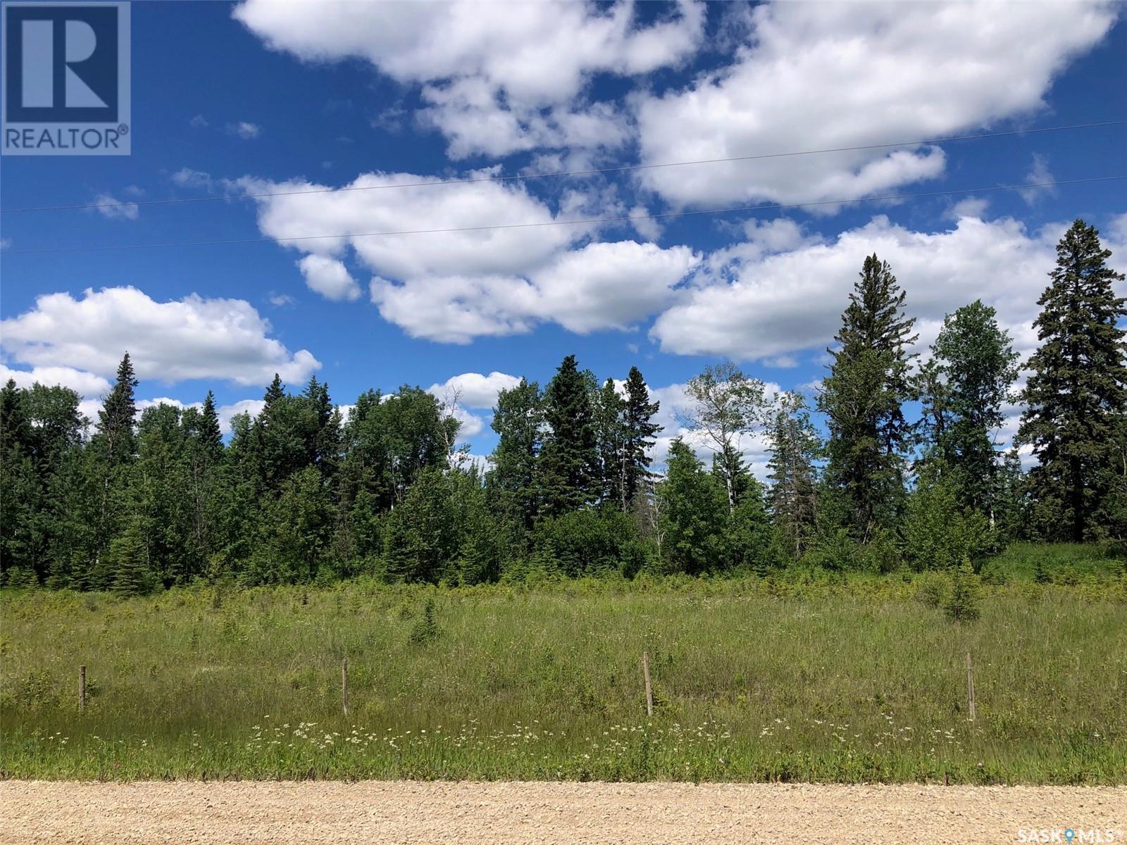 Recreation Land, Preeceville Rm No. 334, Saskatchewan  S0A 3B0 - Photo 4 - SK976171