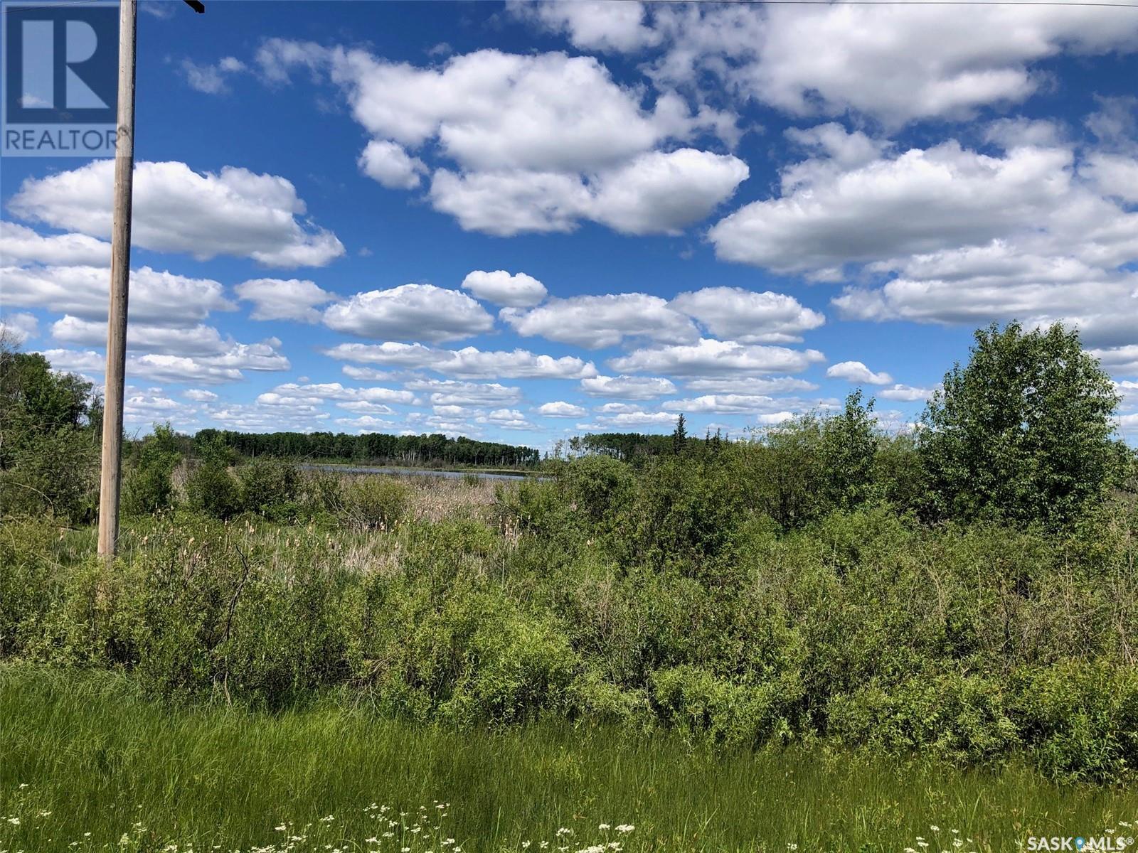 Recreation Land, Preeceville Rm No. 334, Saskatchewan  S0A 3B0 - Photo 5 - SK976171