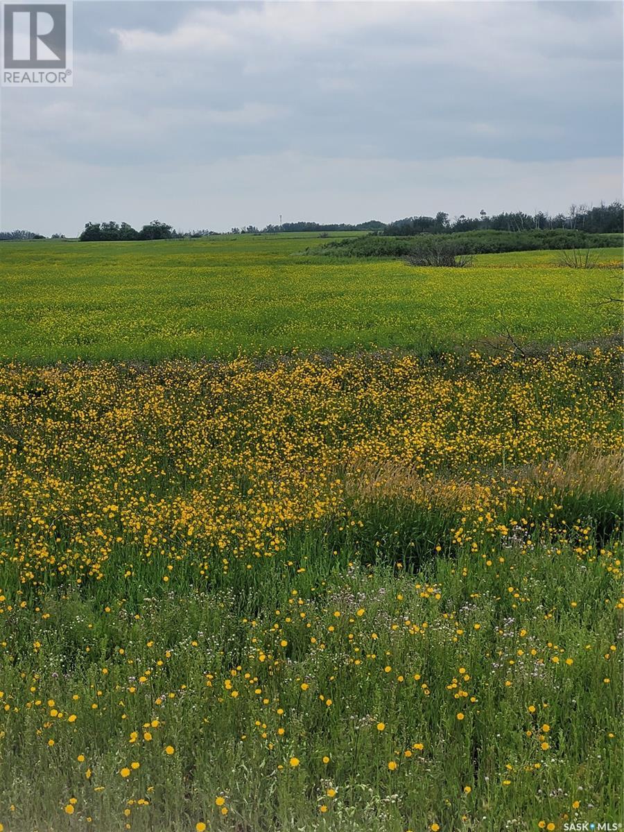 Rystrom #3 Land, Corman Park Rm No. 344, Saskatchewan  S7K 5W1 - Photo 10 - SK979422