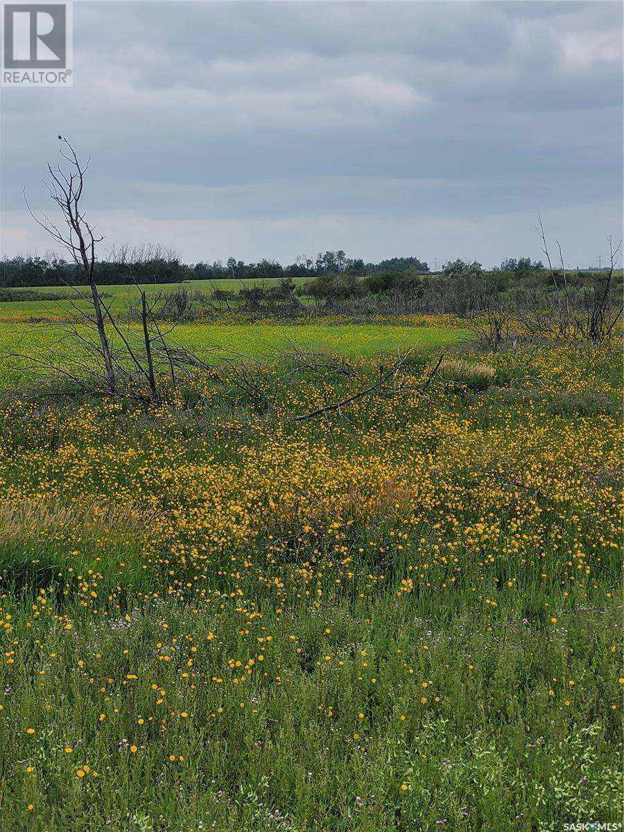 Rystrom #3 Land, Corman Park Rm No. 344, Saskatchewan  S7K 5W1 - Photo 11 - SK979422