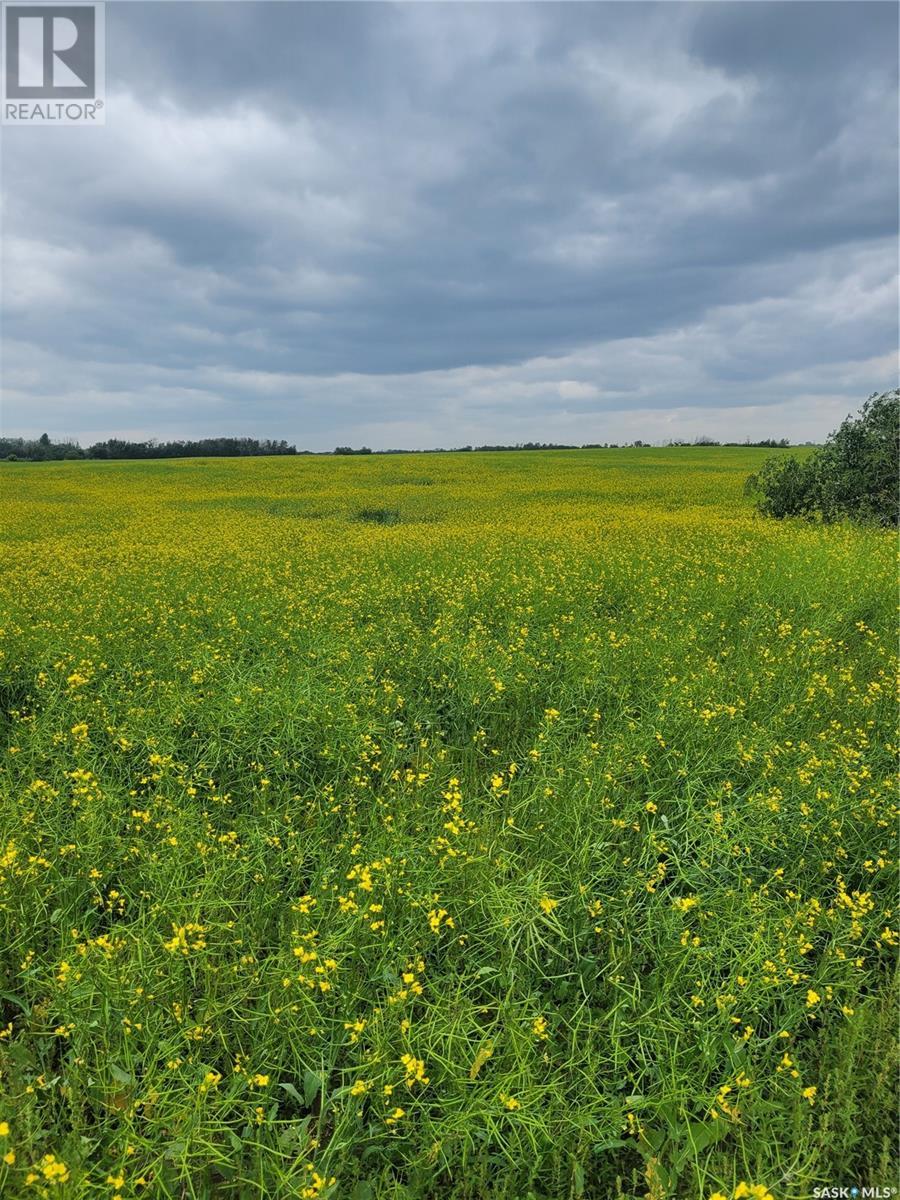 Rystrom #3 Land, Corman Park Rm No. 344, Saskatchewan  S7K 5W1 - Photo 6 - SK979422