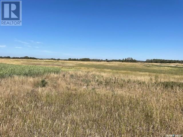 Matheson Land, Vanscoy Rm No. 345, Saskatchewan  S0L 3J0 - Photo 3 - SK981283