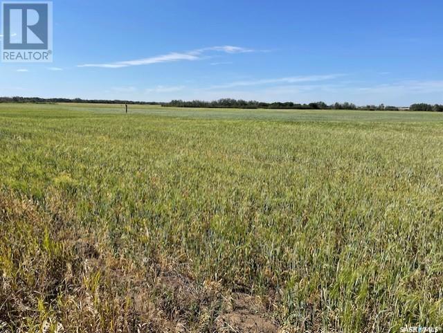 Matheson Land, Vanscoy Rm No. 345, Saskatchewan  S0L 3J0 - Photo 5 - SK981283