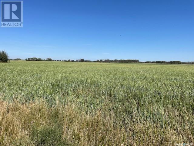 Matheson Land, Vanscoy Rm No. 345, Saskatchewan  S0L 3J0 - Photo 9 - SK981283