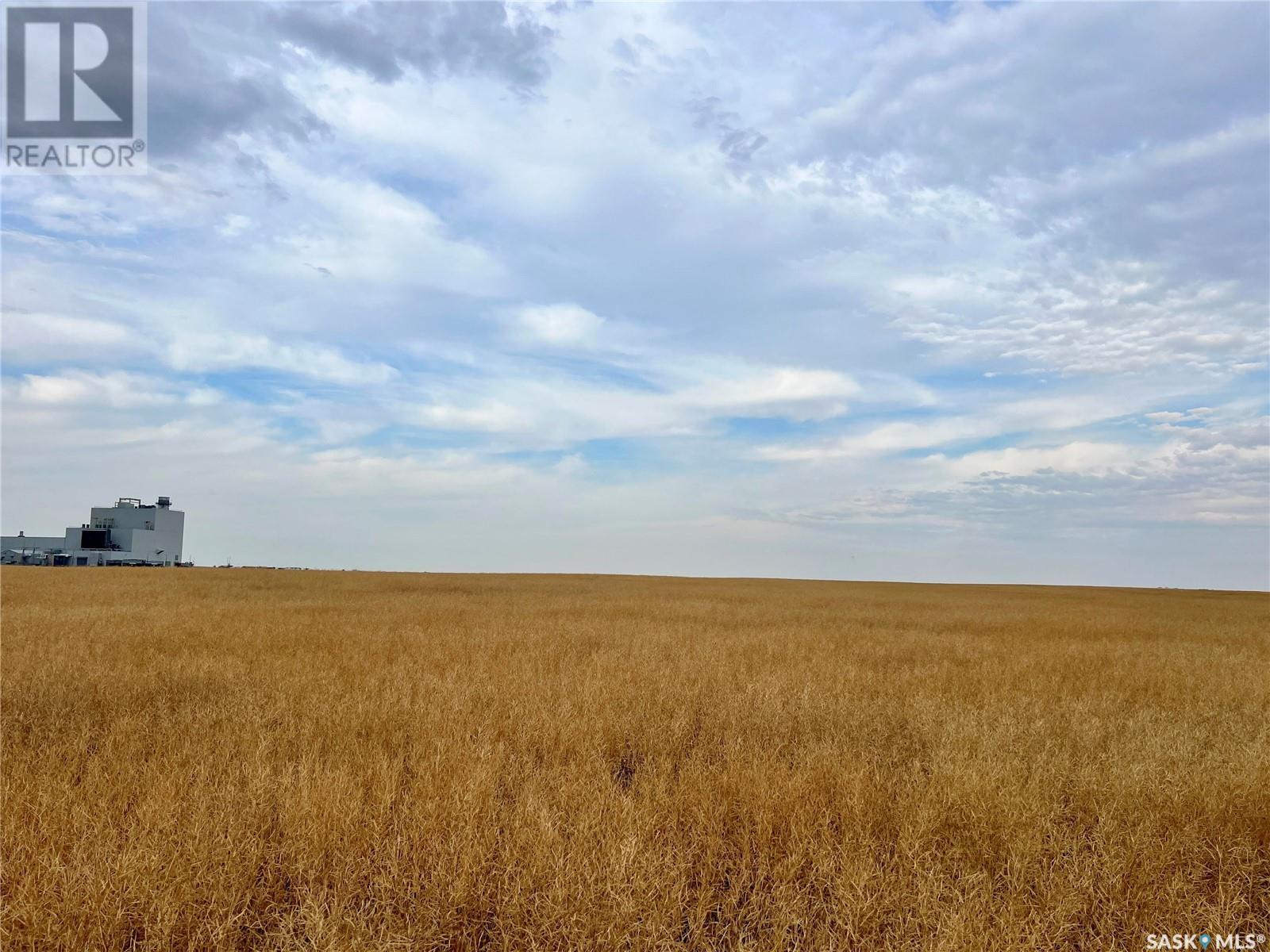 Biese Farm, Swift Current Rm No. 137, Saskatchewan  S9H 3W8 - Photo 26 - SK981189