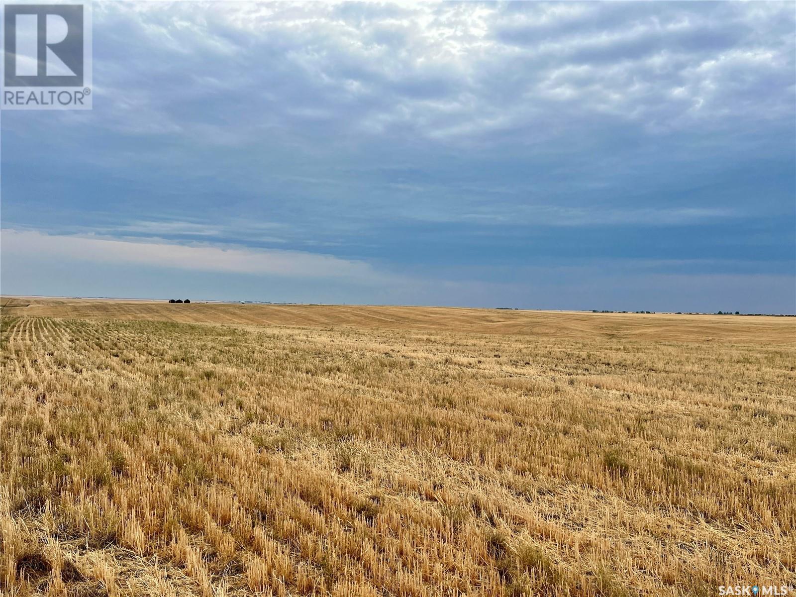 Biese Farm, Swift Current Rm No. 137, Saskatchewan  S9H 3W8 - Photo 27 - SK981189