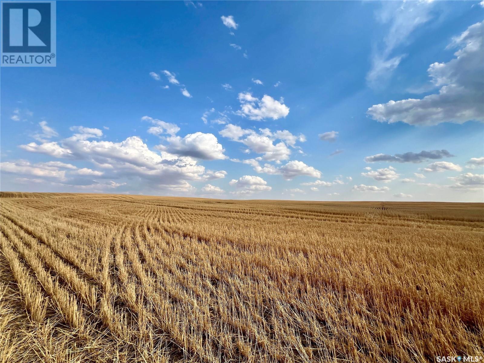 Biese Farm, Swift Current Rm No. 137, Saskatchewan  S9H 3W8 - Photo 4 - SK981189