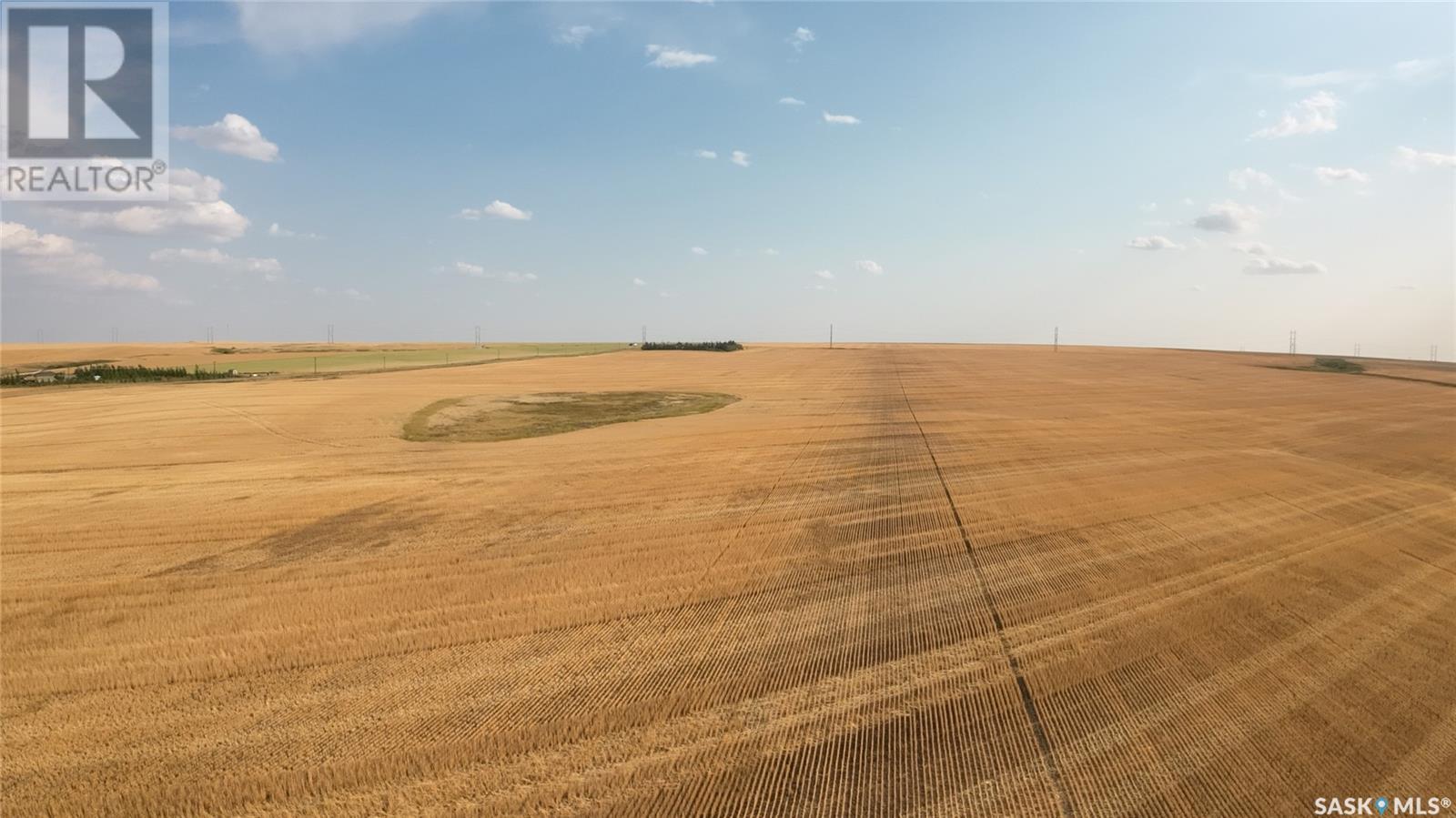 Biese Farm, Swift Current Rm No. 137, Saskatchewan  S9H 3W8 - Photo 7 - SK981189