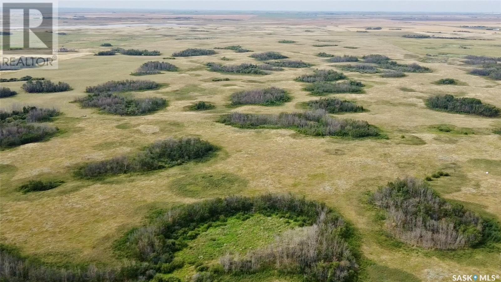 Rm Of Morris Farmland, Morris Rm No. 312, Saskatchewan  S0K 4Y0 - Photo 4 - SK981395