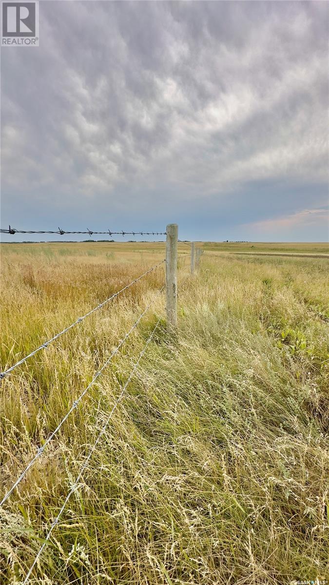 Rm Of Morris Farmland, Morris Rm No. 312, Saskatchewan  S0K 4Y0 - Photo 7 - SK981395