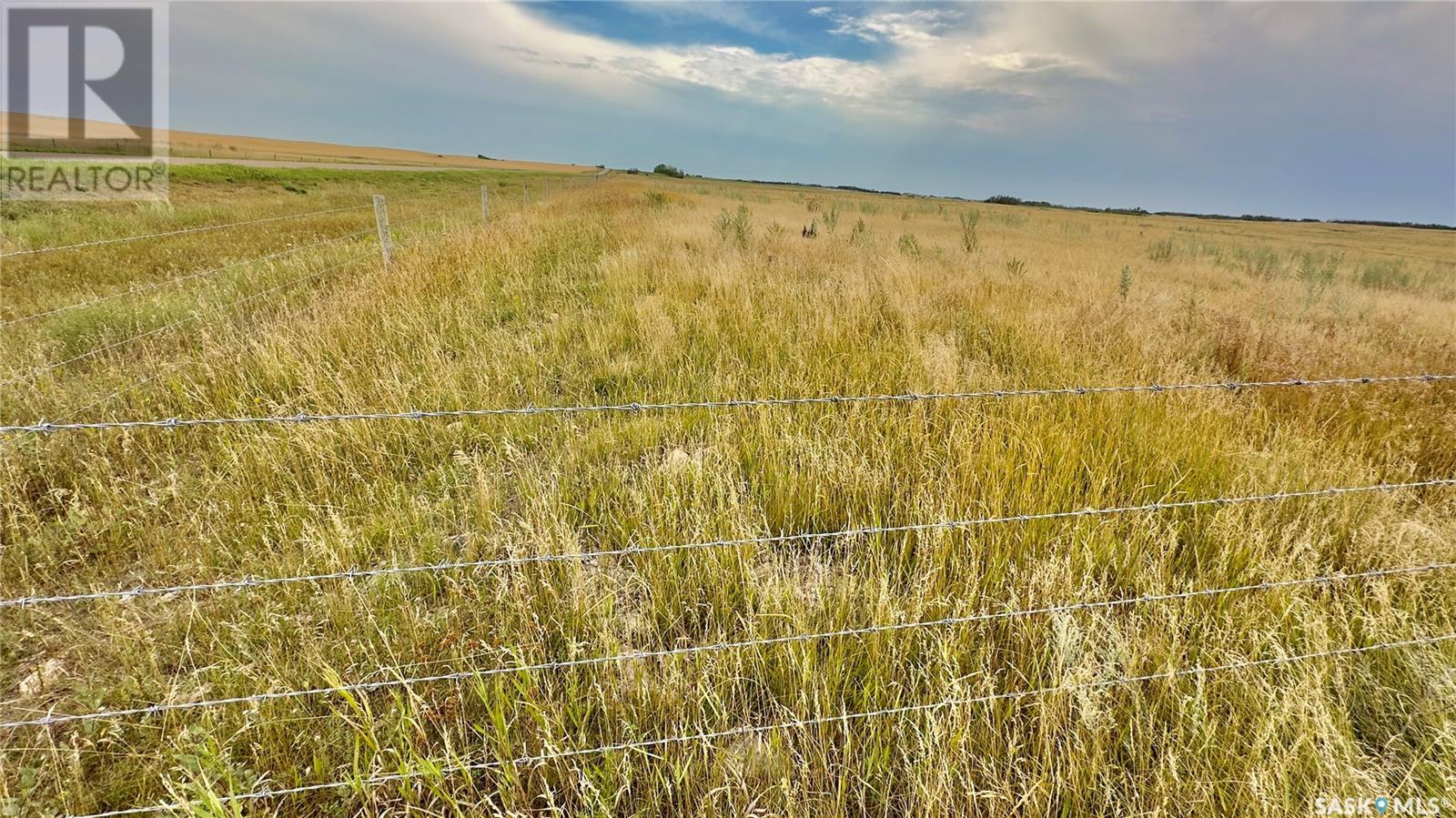 Rm Of Morris Farmland, Morris Rm No. 312, Saskatchewan  S0K 4Y0 - Photo 8 - SK981395