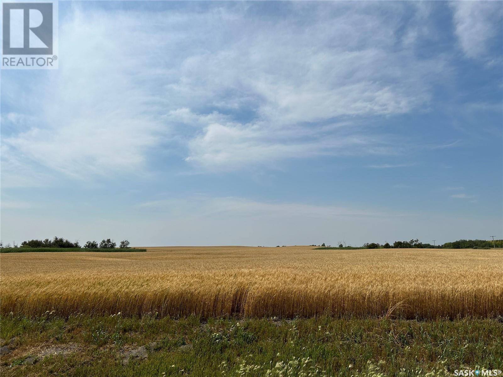 4 Quarters Rm 61, Antler Rm No. 61, Saskatchewan  S0C 2H0 - Photo 29 - SK981499