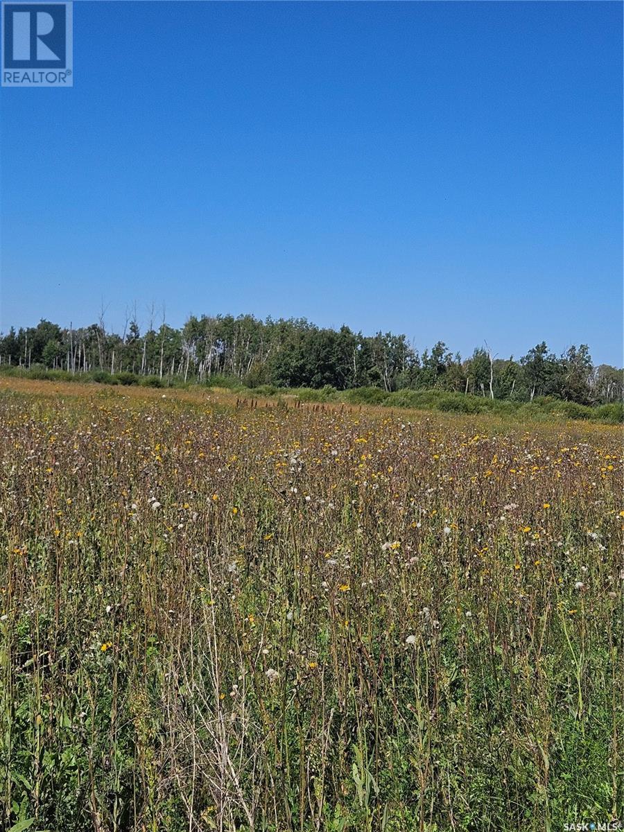 Good Spirit Lake Farm, Good Lake Rm No. 274, Saskatchewan  S0A 0L0 - Photo 17 - SK982460