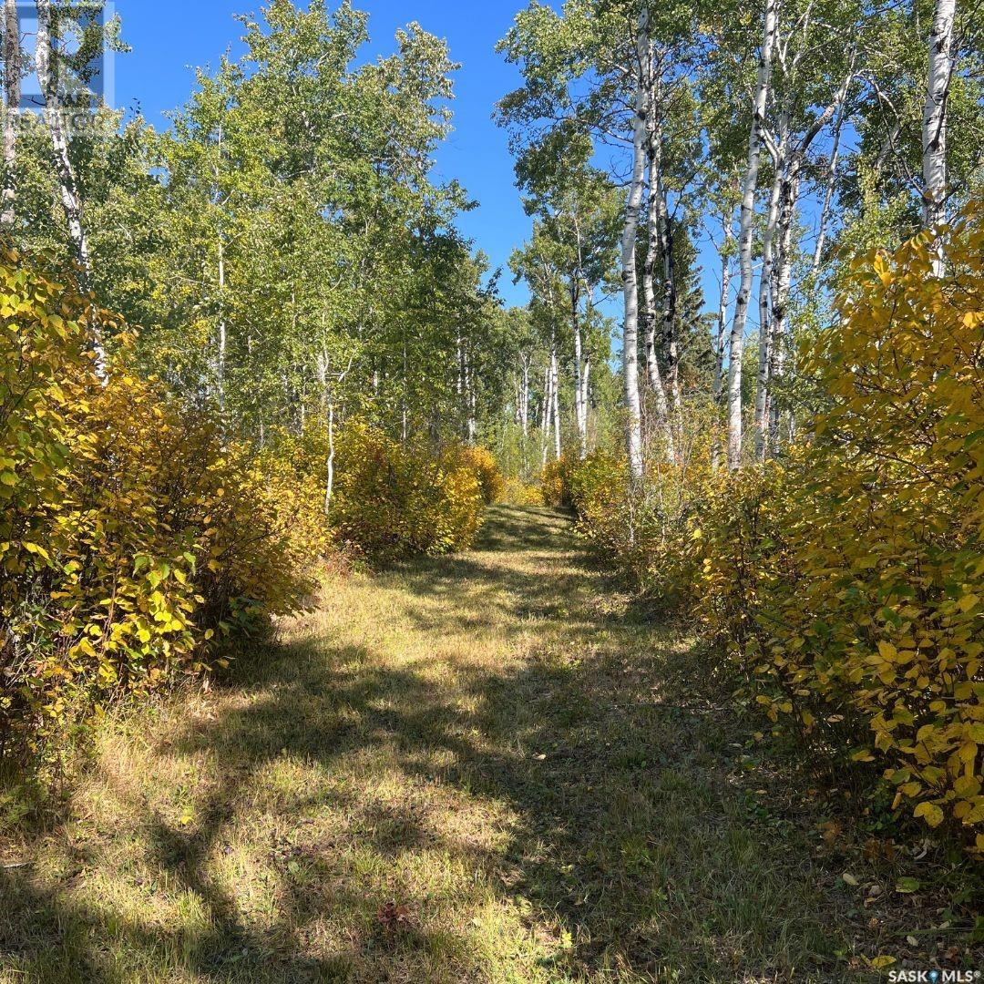 Wildlife Acres, Mervin Rm No.499, Saskatchewan  S0M 1J0 - Photo 45 - SK983354