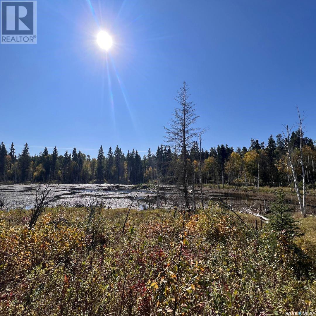 Wildlife Acres, Mervin Rm No.499, Saskatchewan  S0M 1J0 - Photo 46 - SK983354