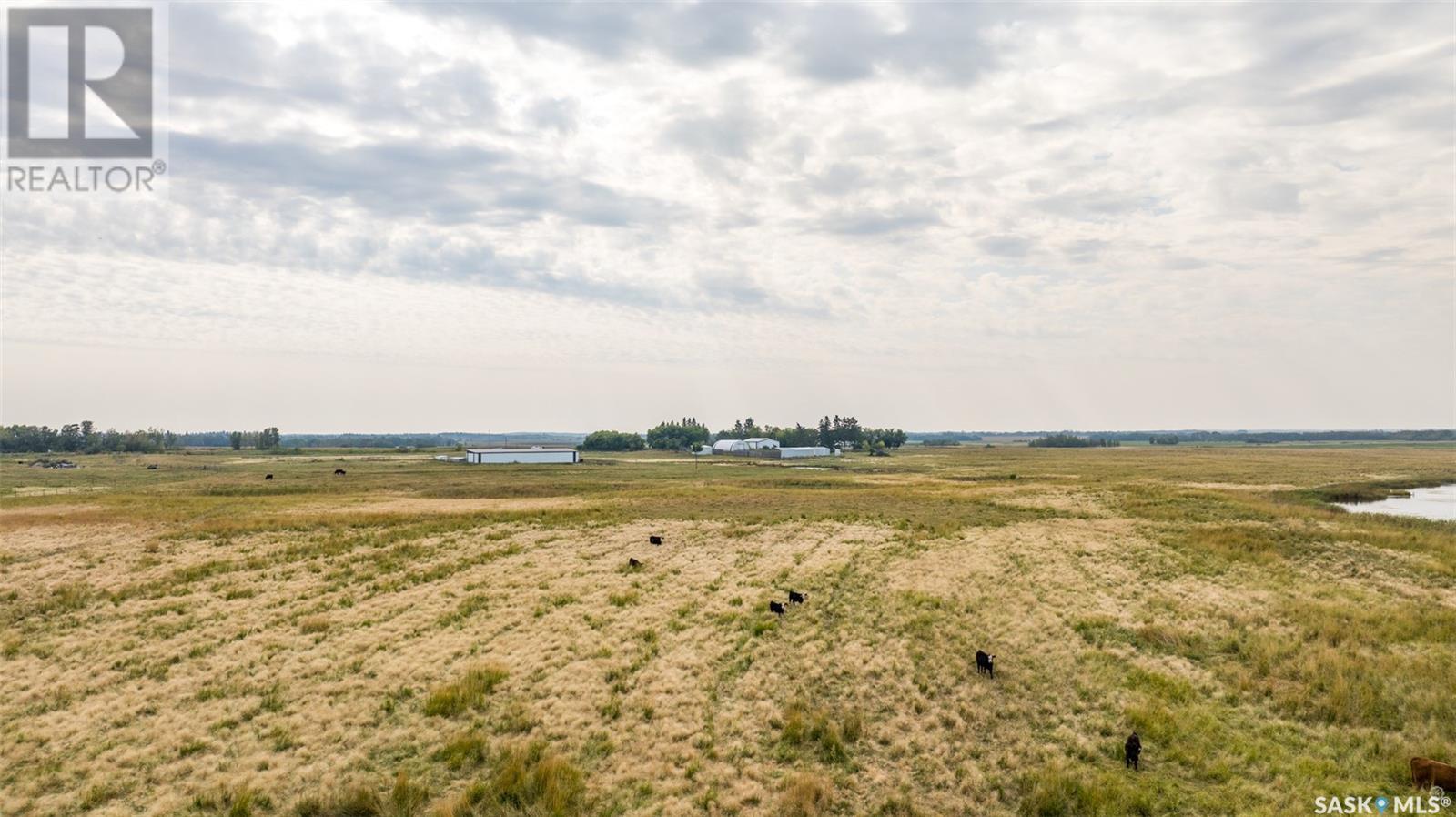 Campbell Road Ranch, Buckland Rm No. 491, Saskatchewan  S6V 5R3 - Photo 34 - SK983391