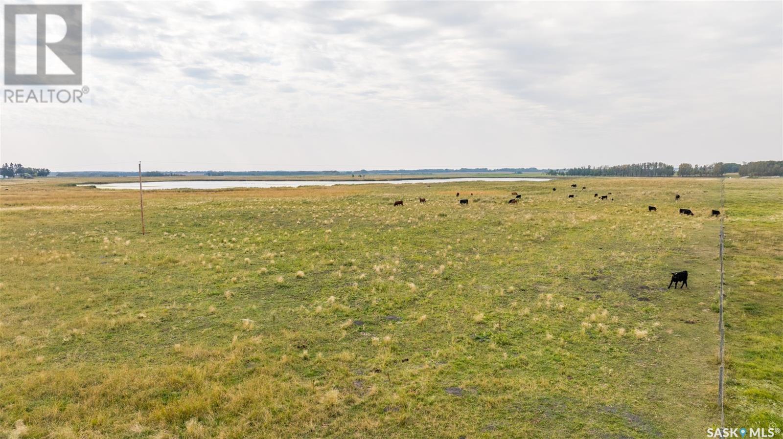 Campbell Road Ranch, Buckland Rm No. 491, Saskatchewan  S6V 5R3 - Photo 35 - SK983391