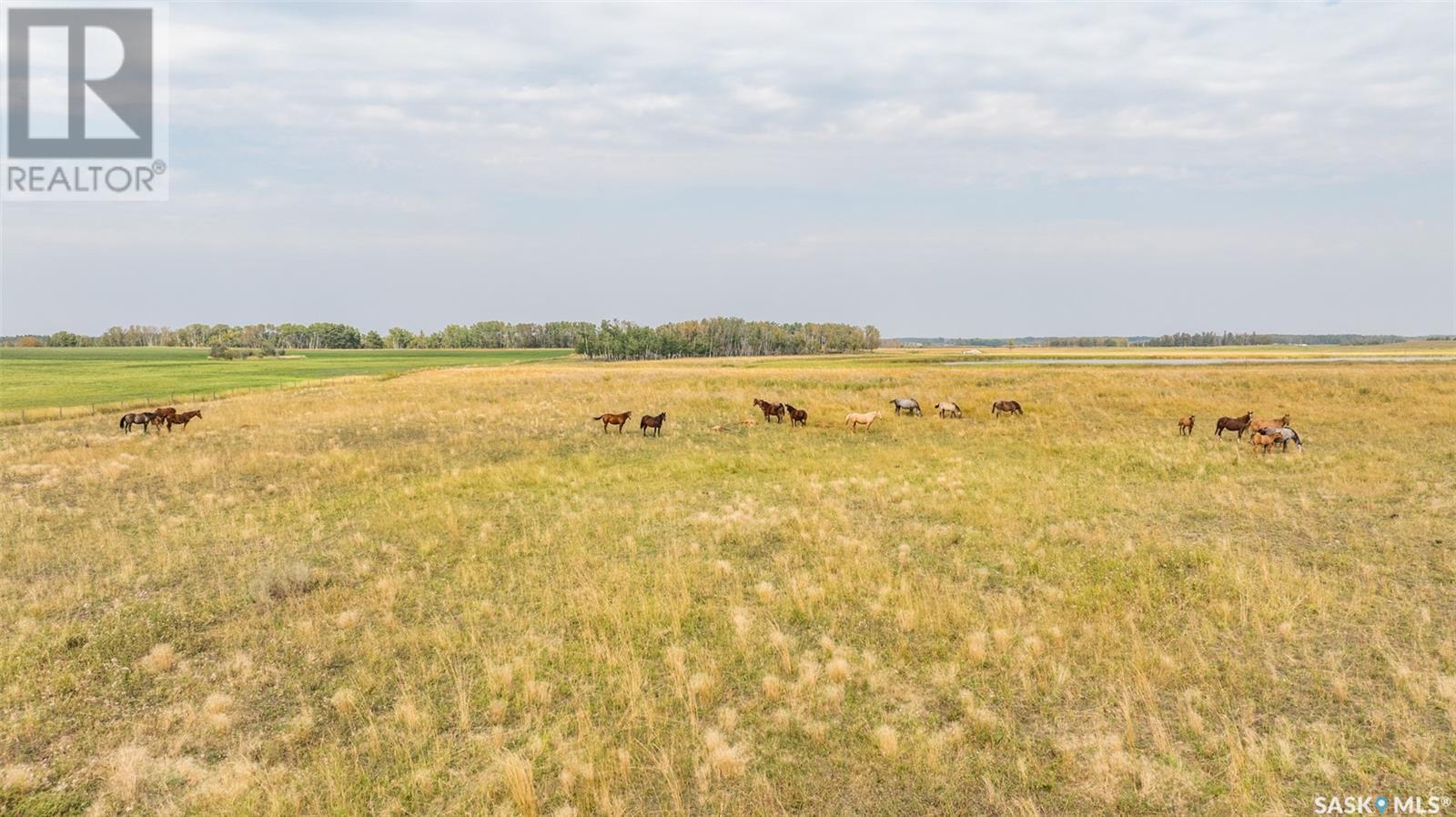 Campbell Road Ranch, Buckland Rm No. 491, Saskatchewan  S6V 5R3 - Photo 42 - SK983391