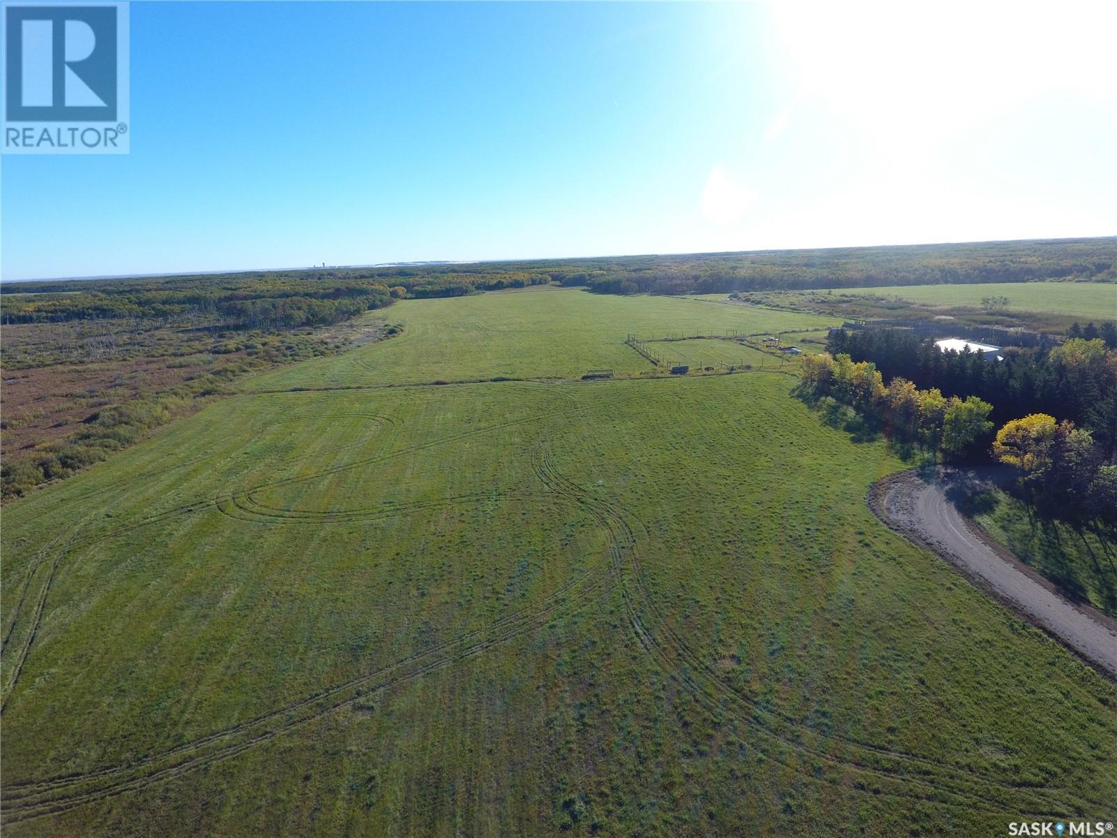 139 Acres With House And Yard, Rocanville Rm No. 151, Saskatchewan  S0A 3L0 - Photo 10 - SK984825