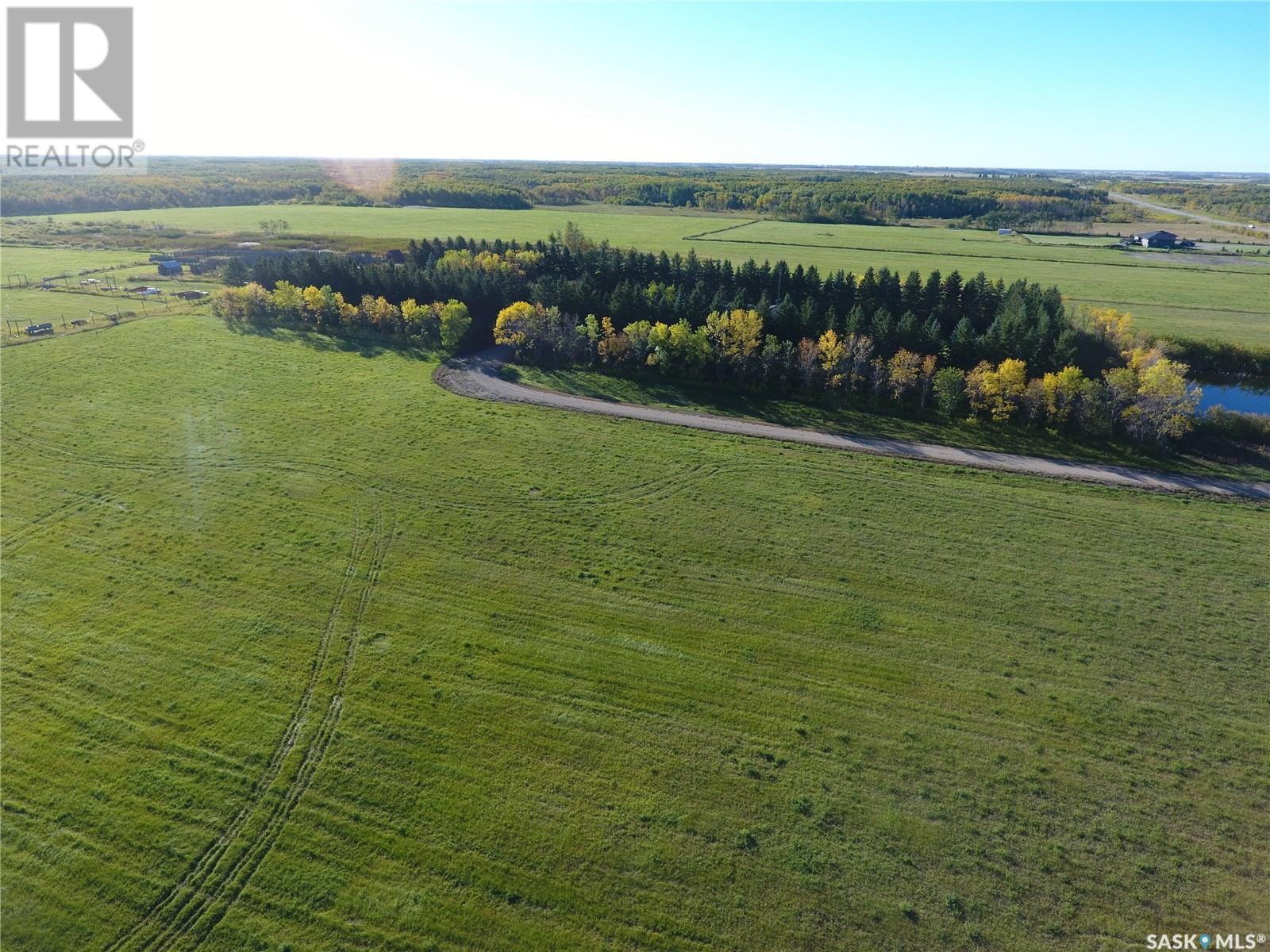 139 Acres With House And Yard, Rocanville Rm No. 151, Saskatchewan  S0A 3L0 - Photo 12 - SK984825