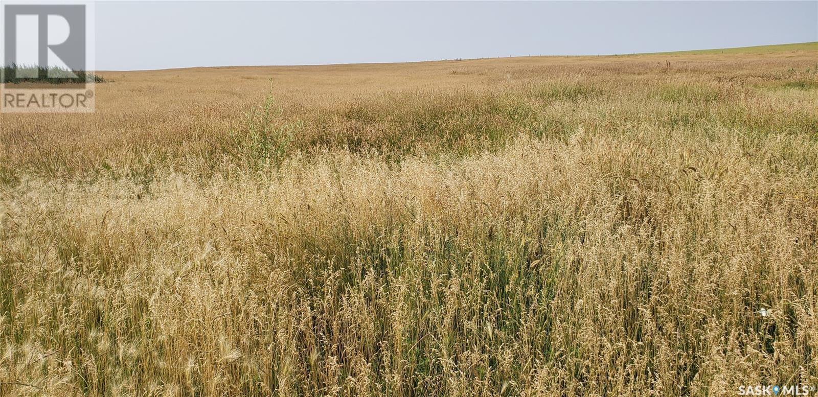 Lost Valley Ranch, Auvergne Rm No. 76, Saskatchewan  S0N 0C0 - Photo 2 - SK985320