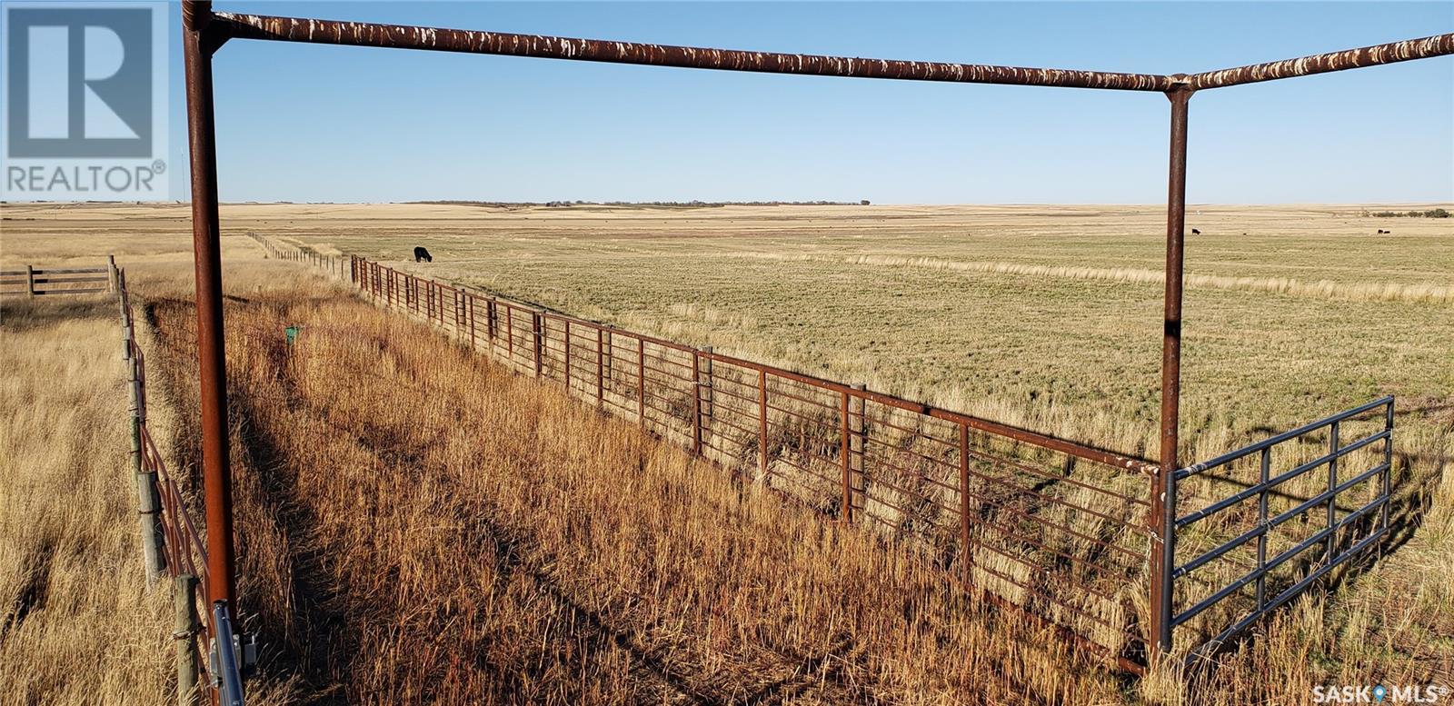 Lost Valley Ranch, Auvergne Rm No. 76, Saskatchewan  S0N 0C0 - Photo 9 - SK985320