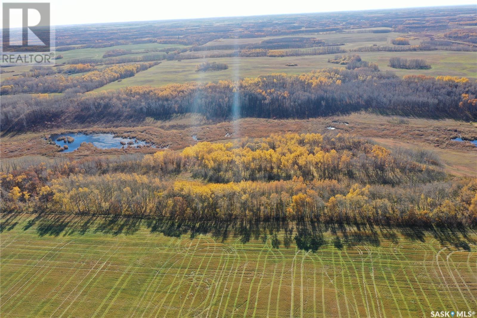 Tayfel Farm, Willowdale Rm No. 153, Saskatchewan  S0A 0X0 - Photo 10 - SK985825