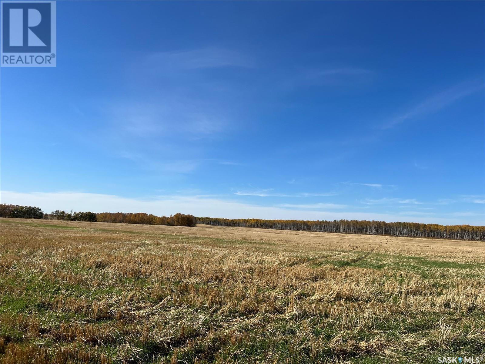 Tayfel Farm, Willowdale Rm No. 153, Saskatchewan  S0A 0X0 - Photo 23 - SK985825