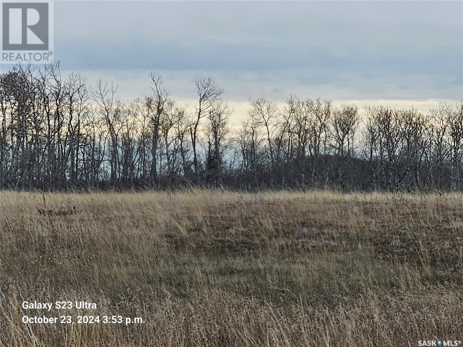 Wright Land, Vanscoy Rm No. 345, Saskatchewan  S0L 3J0 - Photo 4 - SK986775