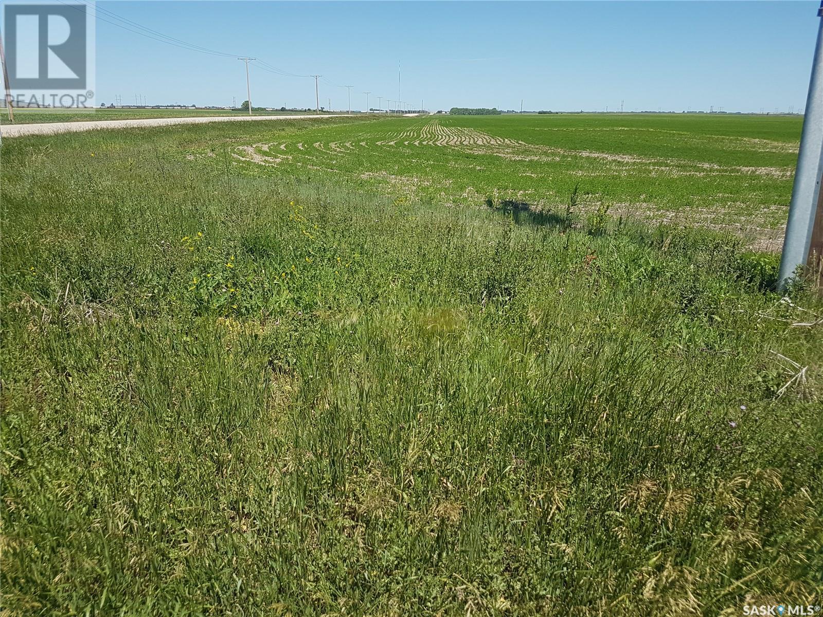 309.81 Acres-Land Only, Sherwood Rm No. 159, Saskatchewan  S4K 0A1 - Photo 3 - SK987258