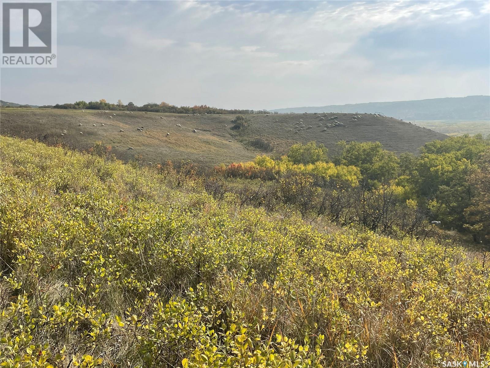 Kaposvar Creek Farm, Spy Hill Rm No. 152, Saskatchewan  S0A 4B0 - Photo 16 - SK987416